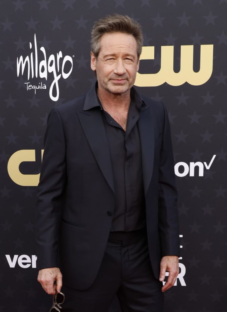 David Duchovny at 29th Critics Choice Awards