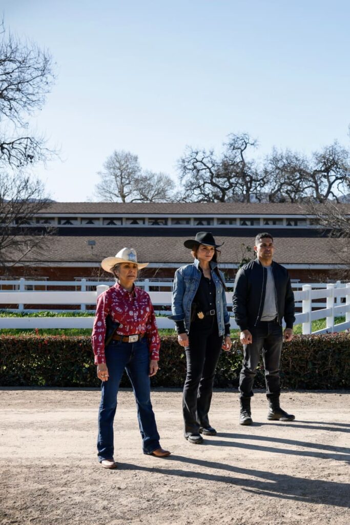 Local Sheriff - NCIS Season 21 Episode 9