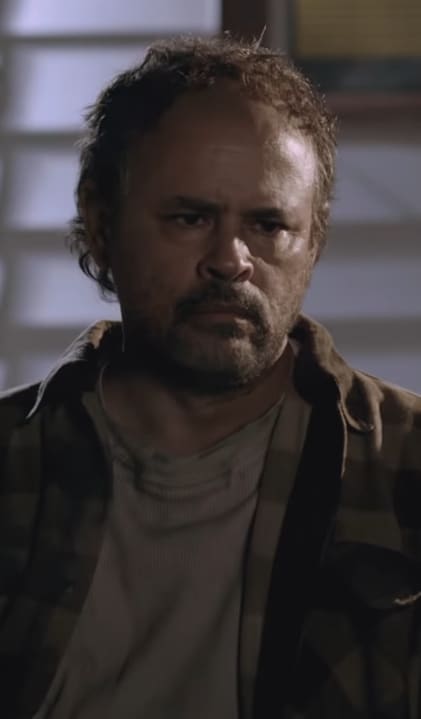 Raymond Cruz as Ariel Castro