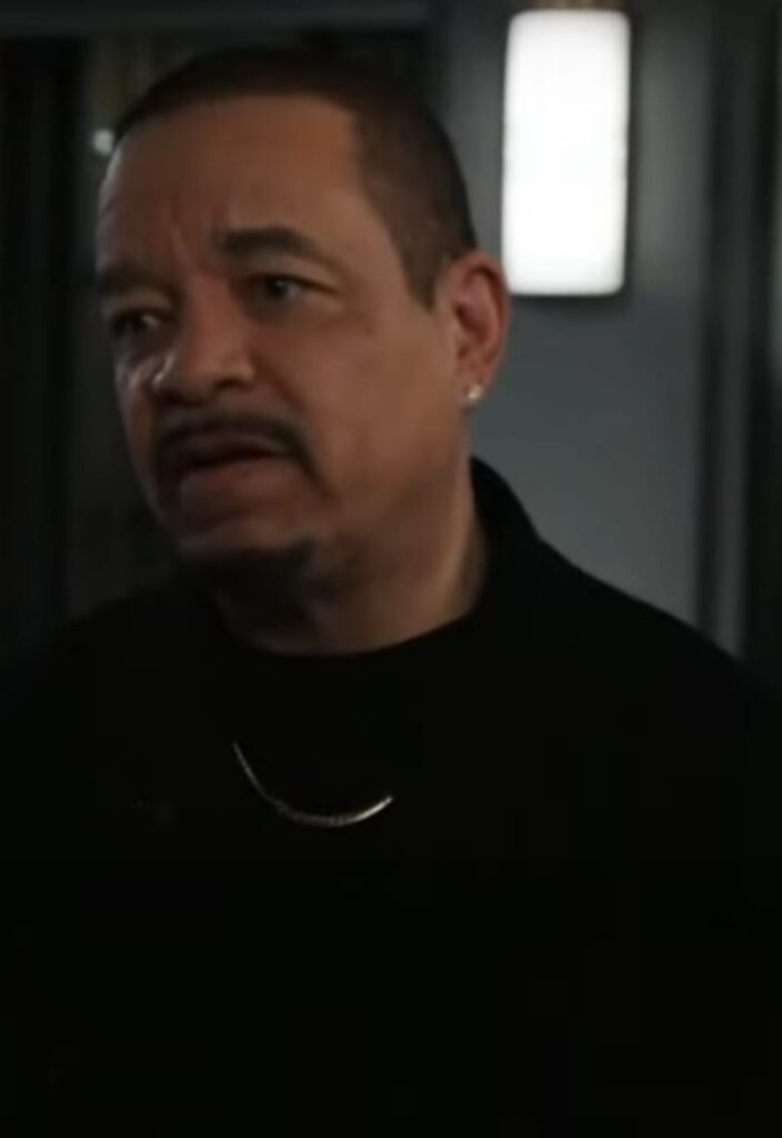 FIn Is Back - Law & Order: SVU Season 25 Episode 11