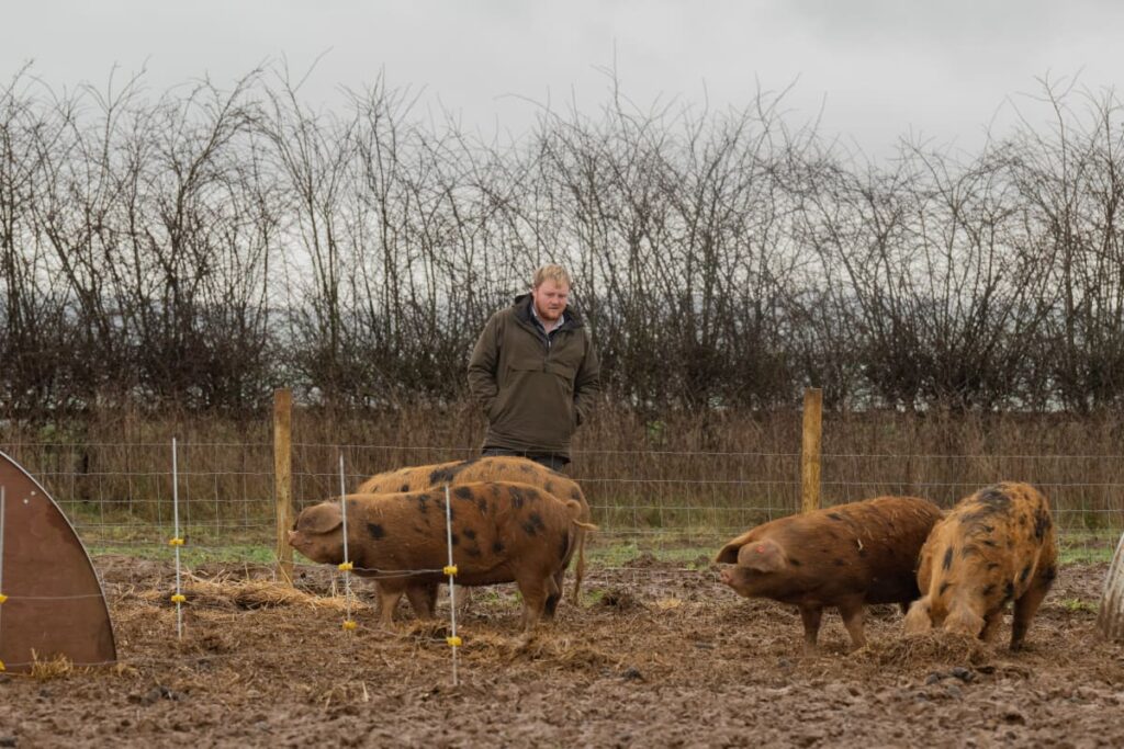 Kaleb Watching the Pigs - Clarkson's Farm