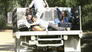 Brothers & Sisters Scene