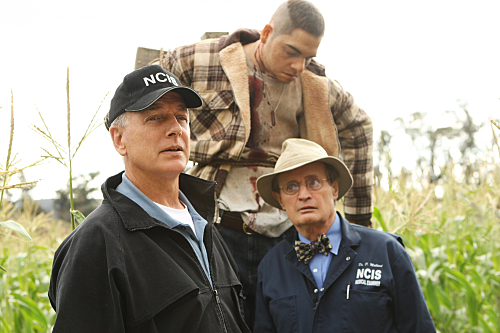 Gibbs and Ducky
