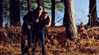 Stefan in Trouble