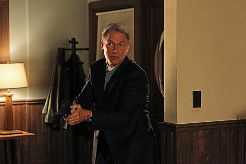 Gibbs Packing