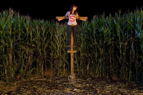 Smallville Premiere Image