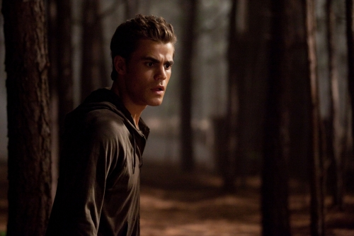 Stefan in the Woods