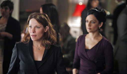 Lili Taylor on The Good Wife