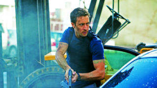 Steve McGarrett Picture