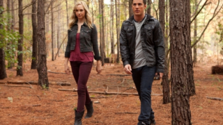 Stroll Through the Woods