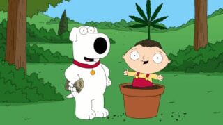 Family Guy 420