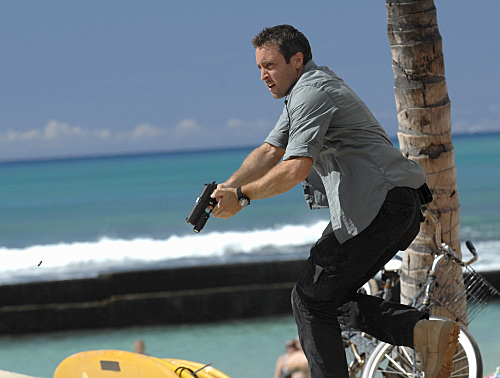 McGarrett on the Loose