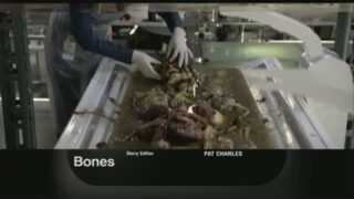 Bones Promo: 