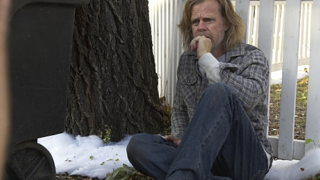 Frank Gallagher Picture