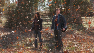 Swirling Leaves