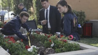 Advanced Gardening