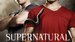 Supernatural Season 6 DVD