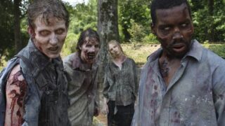 The Walking Dead Zombies