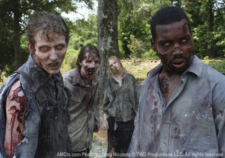 The Walking Dead Zombies