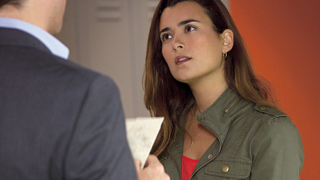 Ziva Looks On