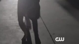 Official Episode Description for 