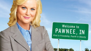 Leslie Knope Advertisement