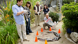 Unusual Crime Scene