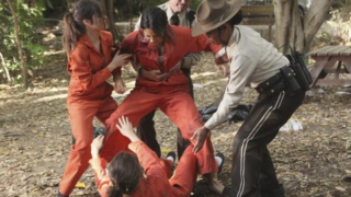 PLL Fight!