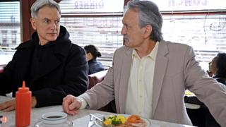 Gibbs and Mike