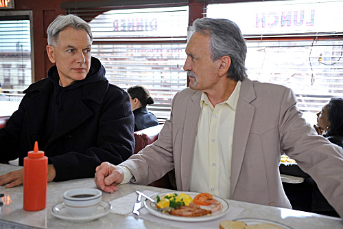 Gibbs and Mike