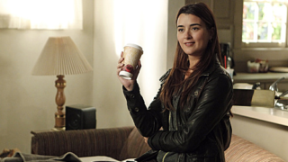 Ziva on the Scene