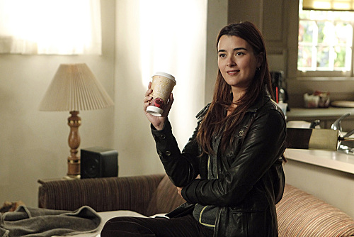 Ziva on the Scene