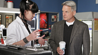 Abby and Gibbs in Action