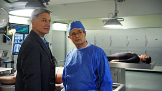 Gibbs and Duck