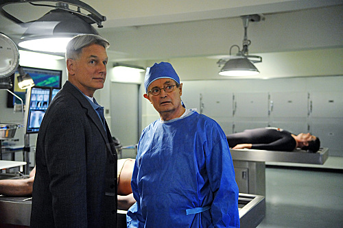 Gibbs and Duck