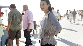 A Ziva David Photo