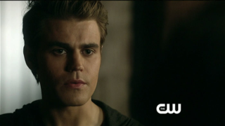 Close Up of Stefan
