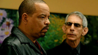 Fin & Munch Investigate