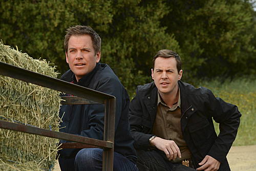 McGee and DiNozzo Photo