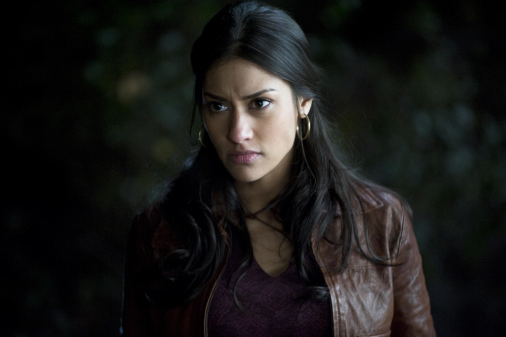 Janina Gavankar on True Blood