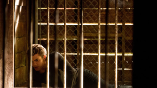 Stefan in a Panic