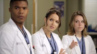 3 New Faces
