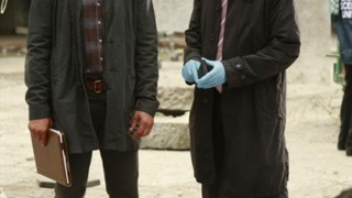 Partners on Castle