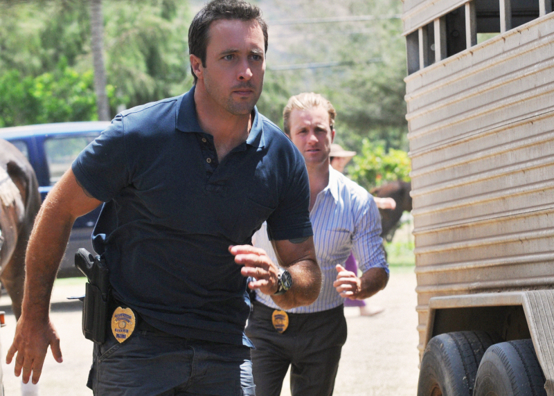 McGarrett & Danny Investigate