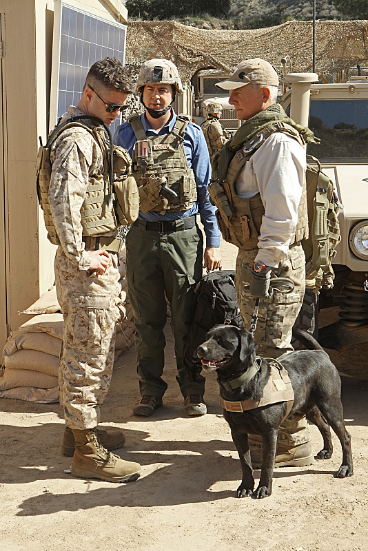 Gibbs, Tim and K9