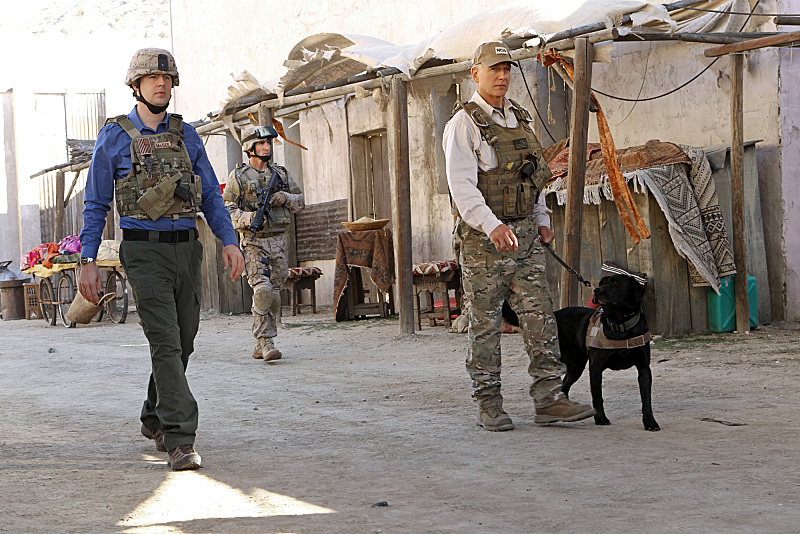 McGee and Gibbs on NCIS