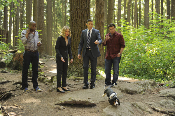 Psych in the Wild