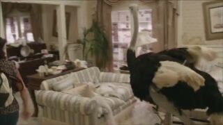 Arrested Development Returns: FOUR New Clips!