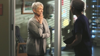Jennifer Bassey on Grey's Anatomy