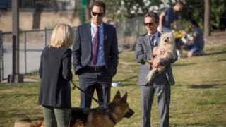 Gone To The Dogs